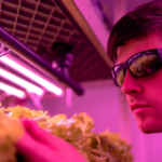 nosoilgardening.com