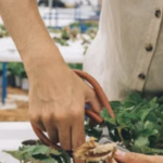 nosoilgardening.com