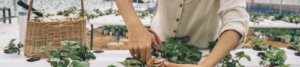 nosoilgardening.com