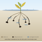 nosoilgardening.com